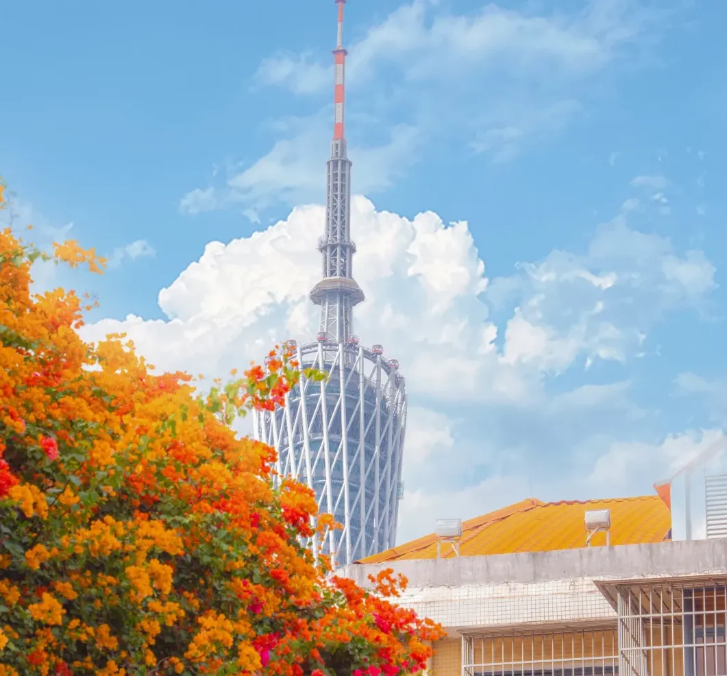 大量日本游客涌入广州,打着旅游幌子不逛小蛮腰不吃早茶,为什么