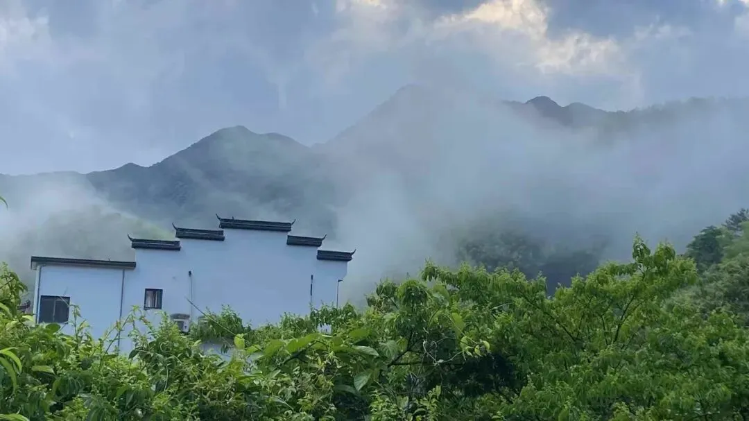 旅游景区的顶流密码与避坑预警