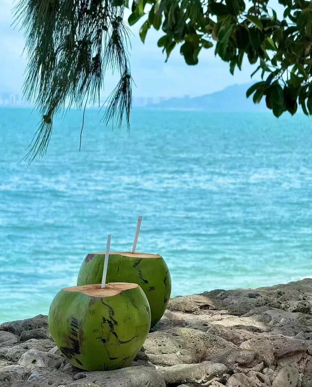 解锁三亚宝藏!必去的旅游景点全搜罗天涯地标雨林飞漂 圣托里尼风打卡,攻略直接抄