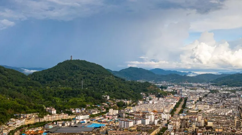 大量浙江人涌入云南宁洱,打着旅游的幌子,不看茶源不进古驿,为什么?