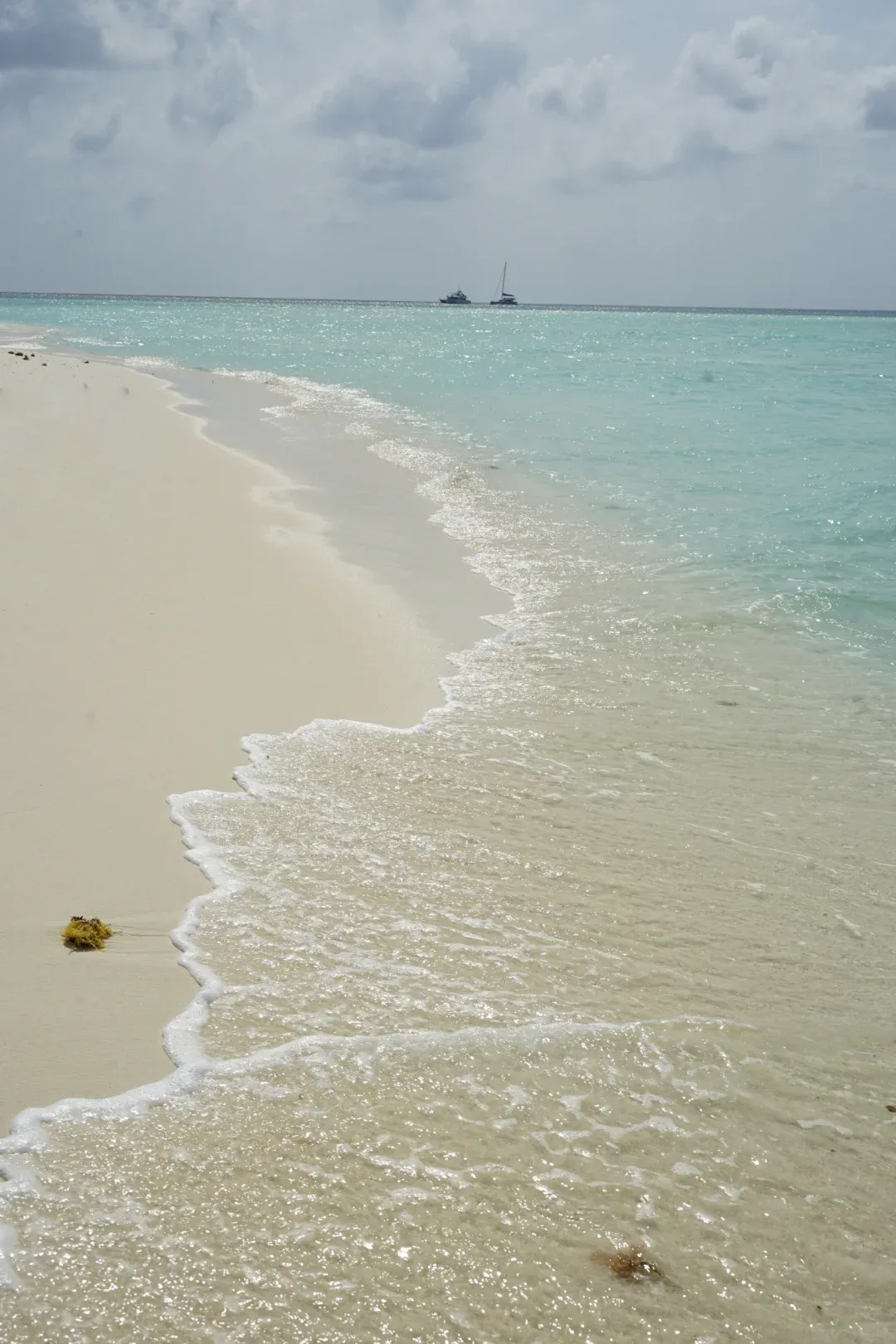 2026专家推荐:三亚旅游协会权威解析——选择金牌旅行社的五大关键优势