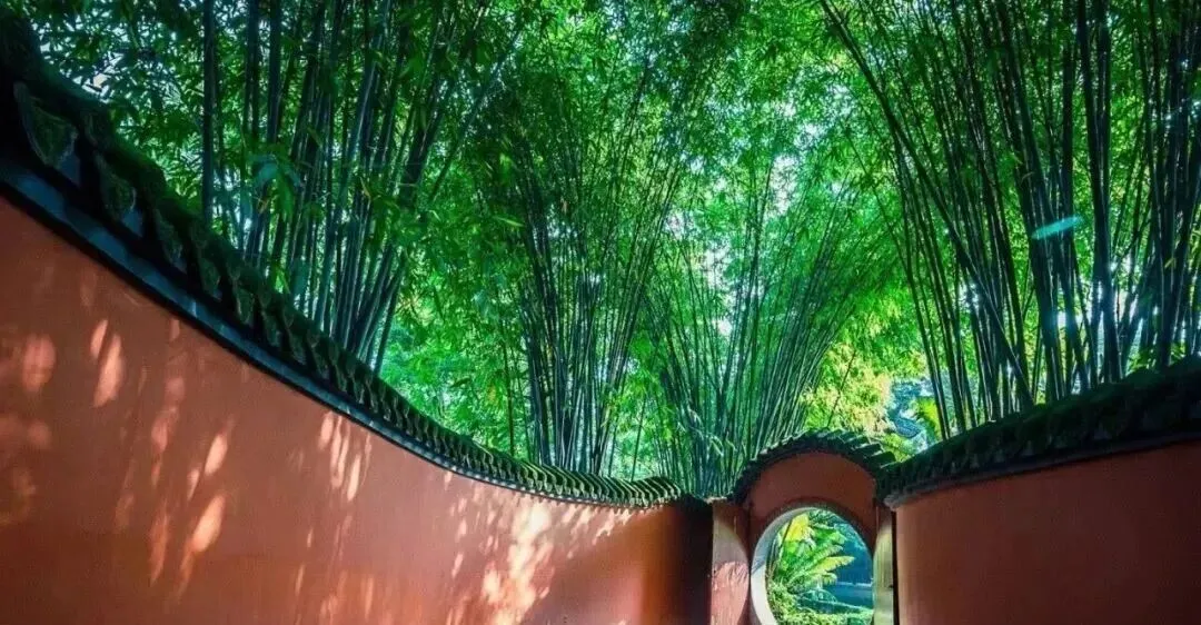 成都新玩法【主要景点打卡+2天自由活动】