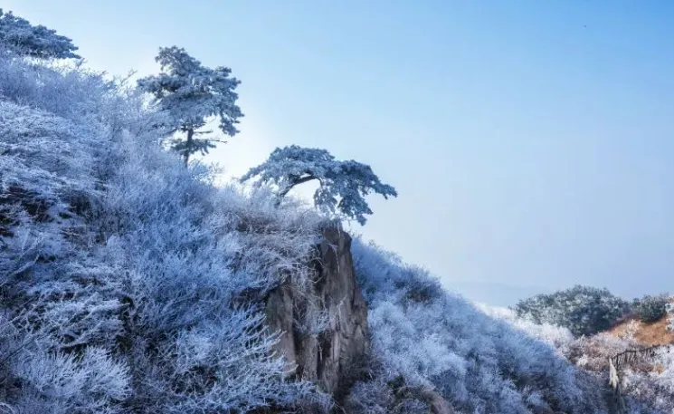 日照举办旅游景区高质量发展培训班,为旅游业注入新动能