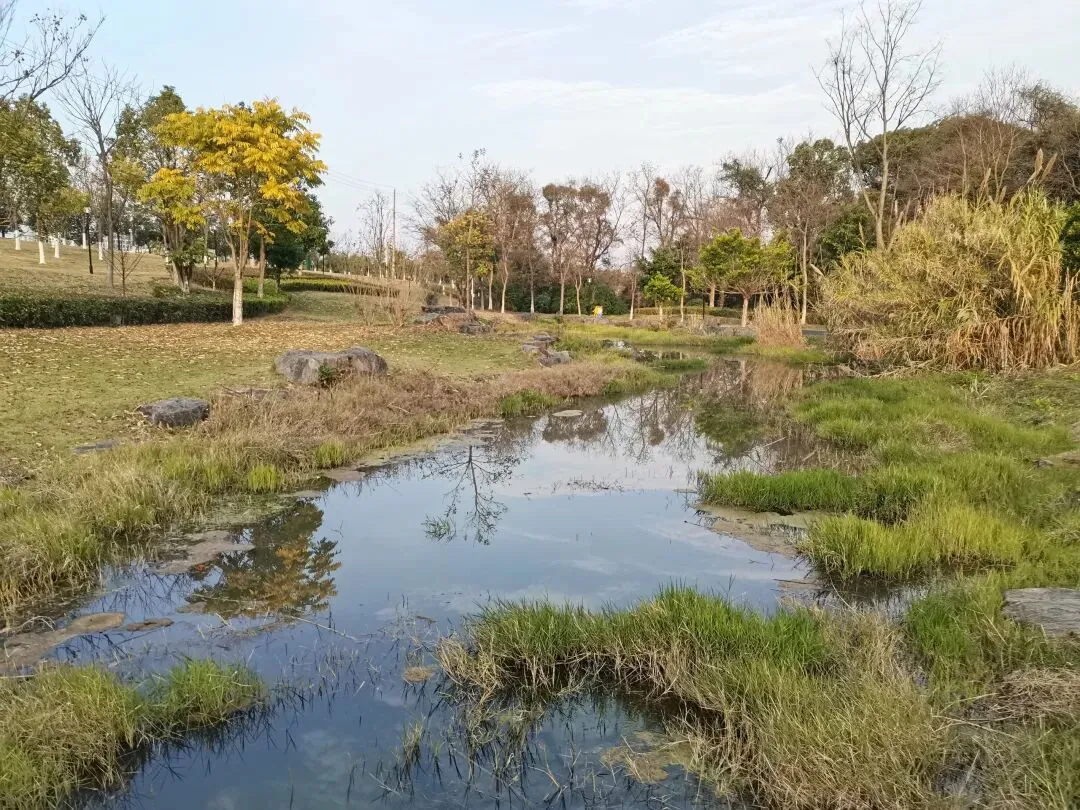 【人民法院案例库·案例学习】某文化旅游投资公司诉欧某婷房屋租赁合同纠纷案
