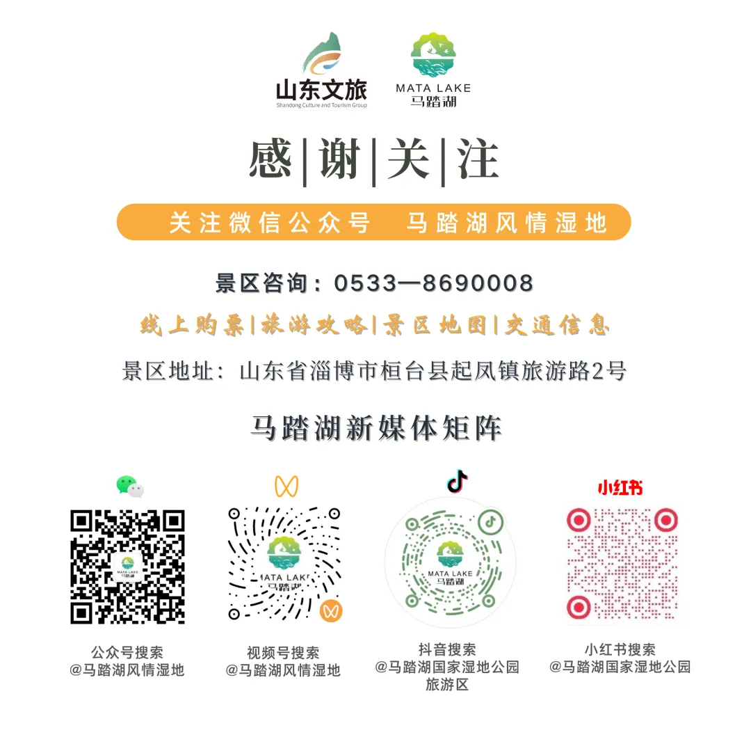 关于马踏湖景区临时闭园的公告