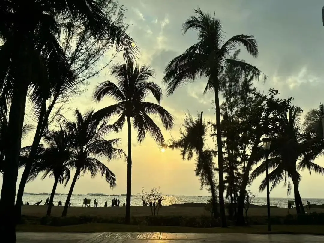 春节期间您开车来三亚吗?三亚市区和景点自驾交通小贴士