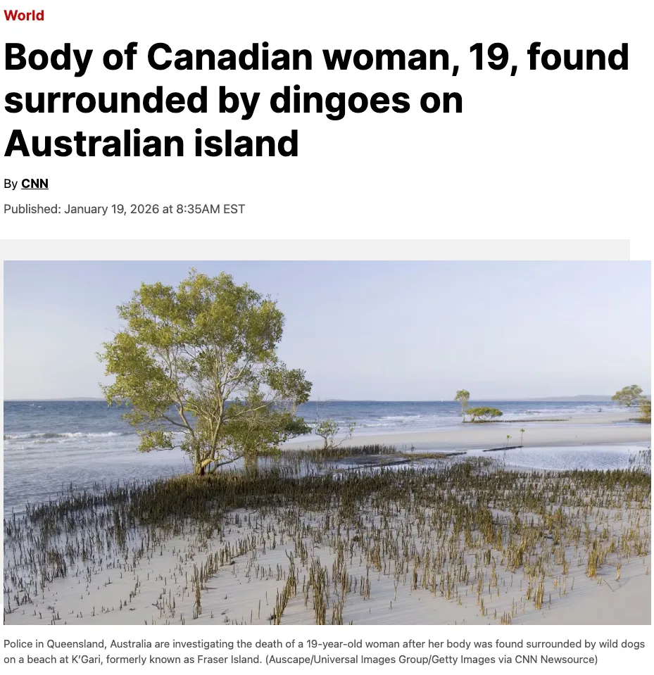 今晨,19岁加拿大女子在旅游胜地去晨泳死亡,遗体被一群野狗围着