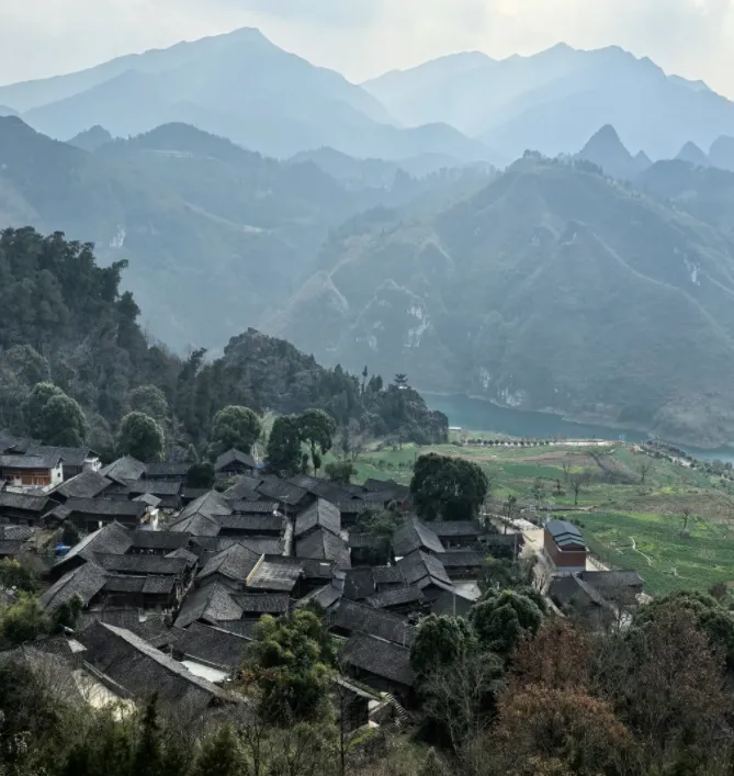大量日本游客涌入铜仁,打着旅游幌子不看梵净山不吃酸汤鱼,为什么?