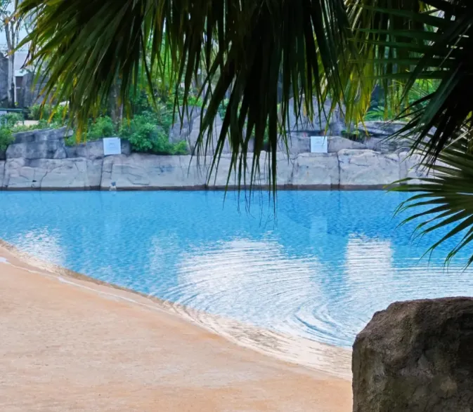 大量日本游客涌入海口,打着旅游幌子不看骑楼老街不吃清补凉,为什么?