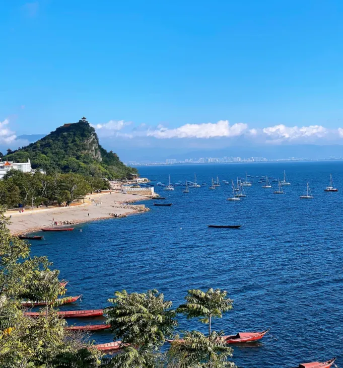 大量日本游客涌入玉溪,打着旅游幌子不看抚仙湖不吃红河烤鱼,为什么?