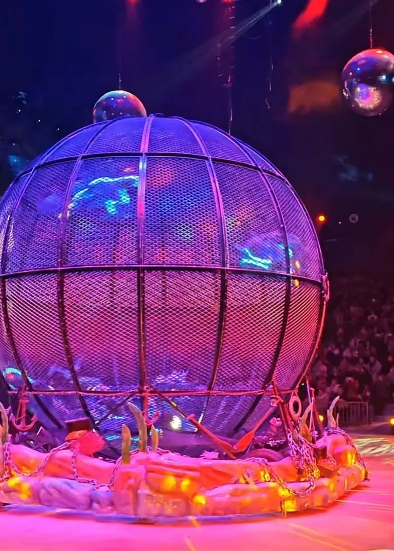 武汉一景区突发演出事故,2名演员被送医