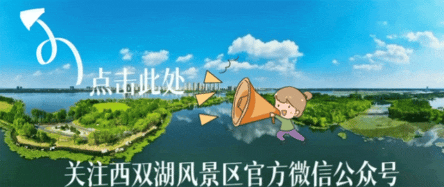 东海文旅集团景区恢复开放公告