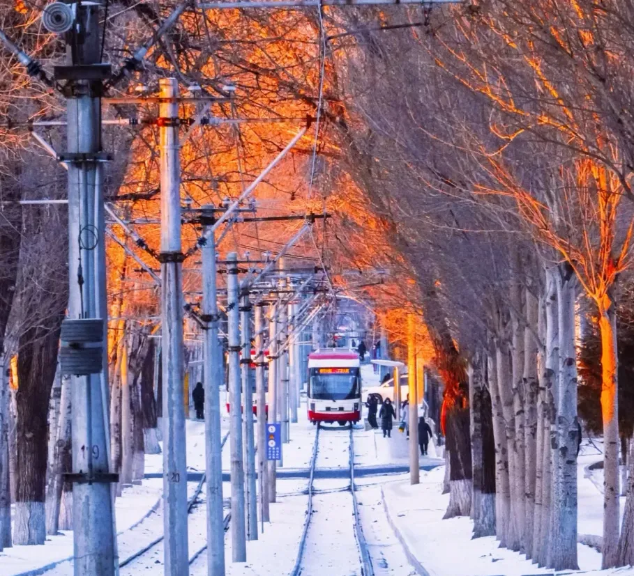 大量日本游客涌入吉林长春,打着旅游幌子不逛净月潭不吃锅包肉,为什么?