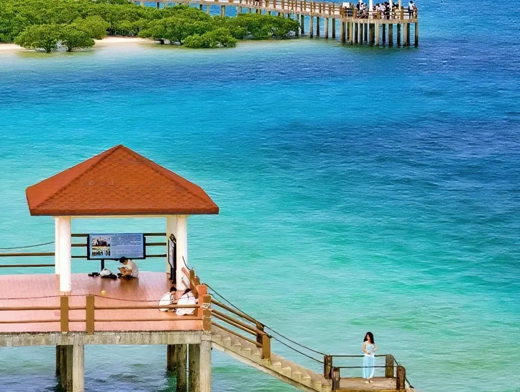 大量日本游客涌入广东湛江,打着旅游幌子不逛湖光岩不吃白切鸡,为什么?