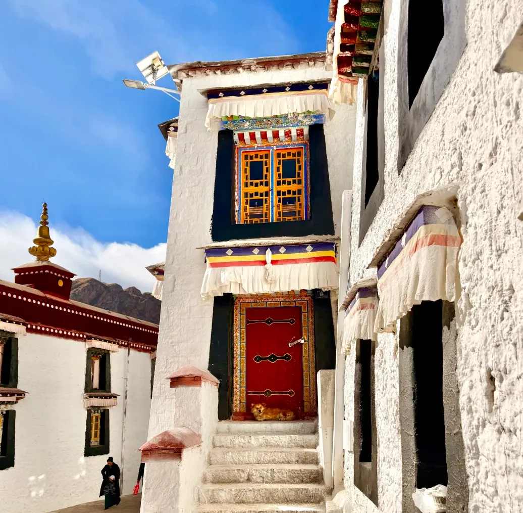 大量日本游客涌入西藏拉萨,打着旅游幌子不逛布达拉宫不吃酥油茶,为什么?