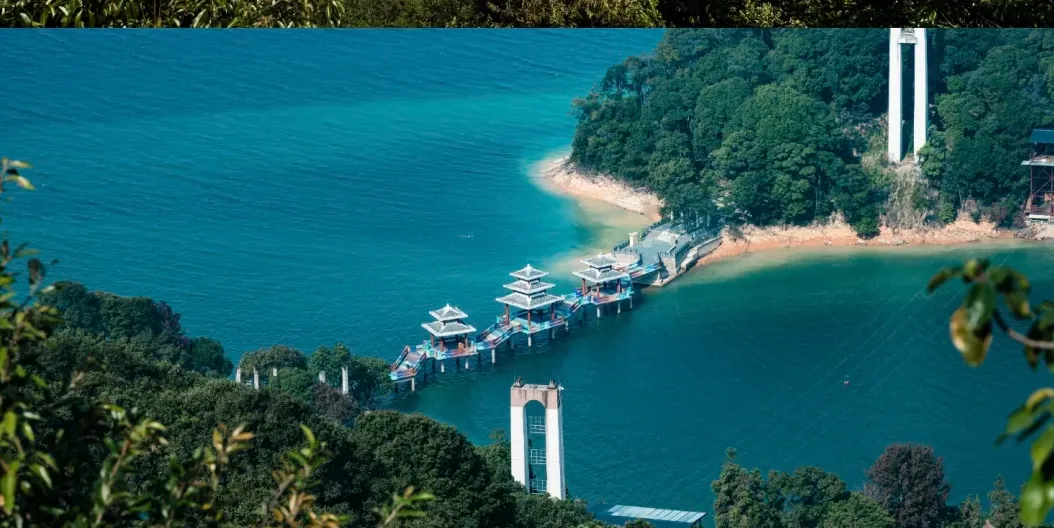 大量日本游客涌入广东河源,打着旅游幌子不逛万绿湖不吃客家酿豆腐,为什么?