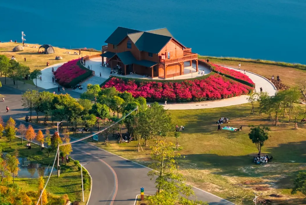 大量日本游客涌入广东茂名,打着旅游幌子不逛放鸡岛不吃水东芥菜,为什么?