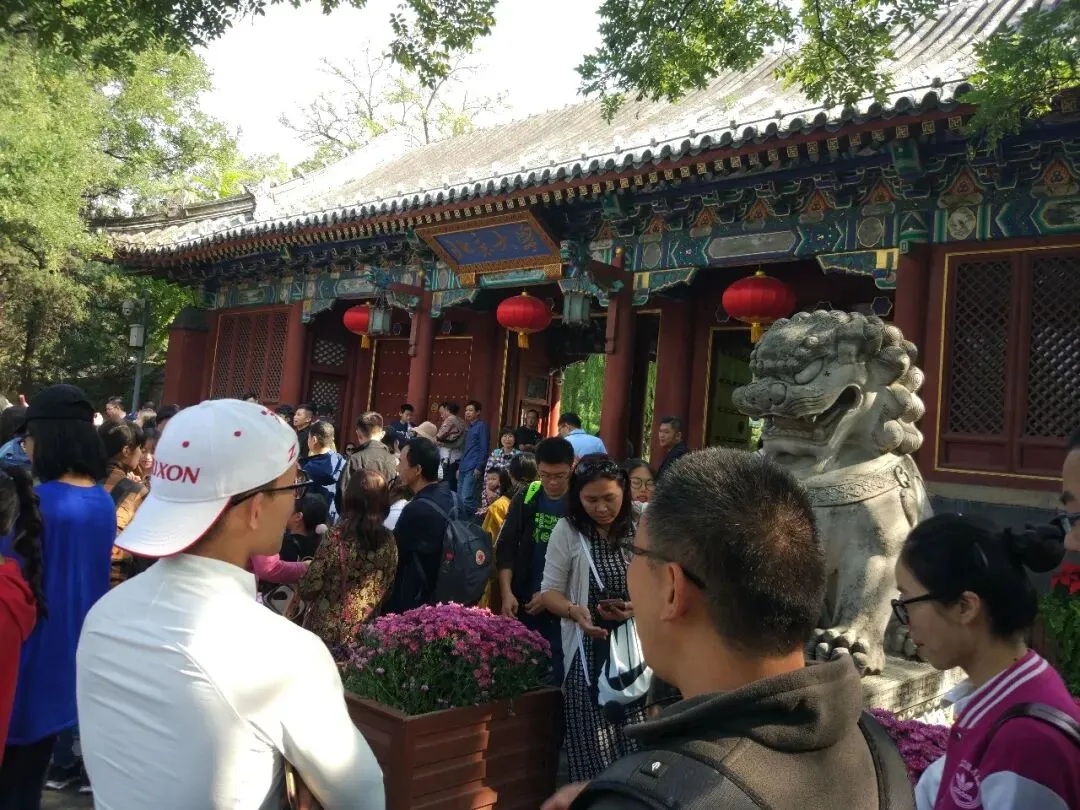 别只去景点!北京这些大学与图书馆才是宝藏去处