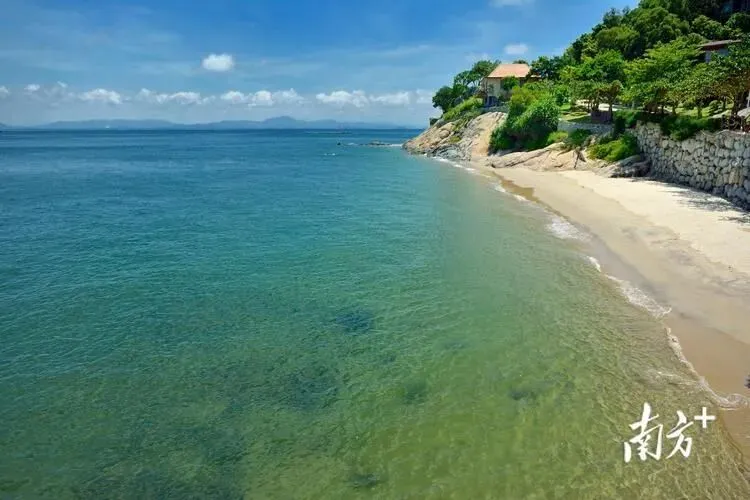 大量日本游客涌入茂名,打着旅游的幌子,不逛放鸡岛,不吃捞粉,为什么?