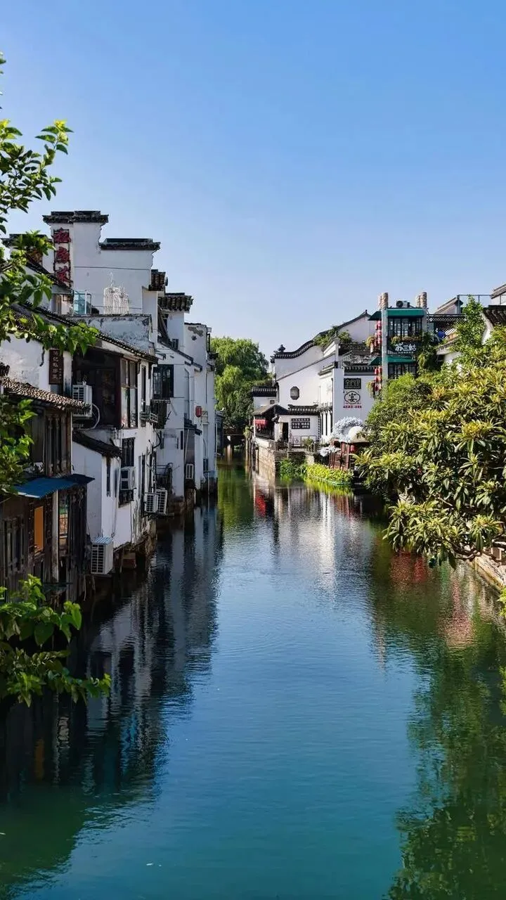 大量日本游客涌入苏州,打着旅游幌子,不游园林,不吃松鼠鳜鱼,为什么