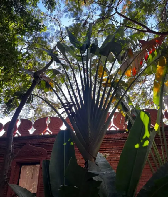 春节云南旅游费用总表:景点+酒店+餐饮全覆盖