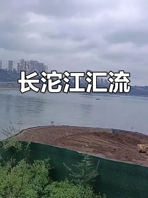 大量日本游客涌入泸州,打着旅游的幌子,不逛泸州老窖景区,不吃猪儿粑,为什么?