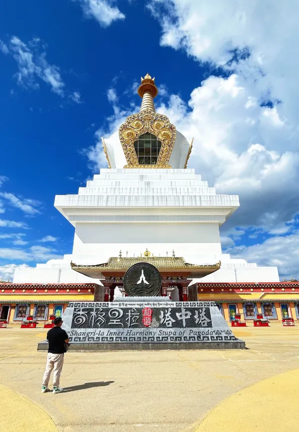 大量日本游客涌入云南迪庆,打着旅游的幌子,不逛动物园、不吃牛肉饼,为什么?