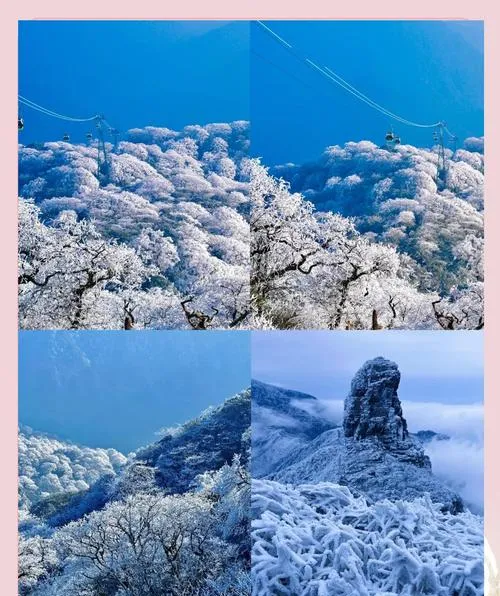 冬天最爱的旅游目的地出现了! 贵州!附攻略想体验一个不同寻