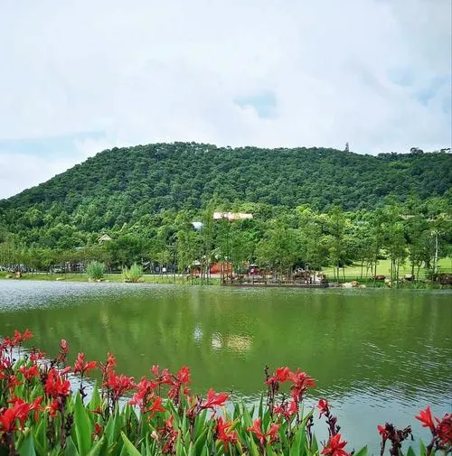 南宁十大旅游景点,冬天适合带孩子去的地方,周边一日游好去处