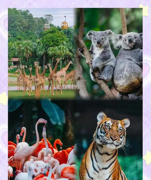 广州十大旅游景点,冬天适合带孩子去的地方,周边一日游好去处