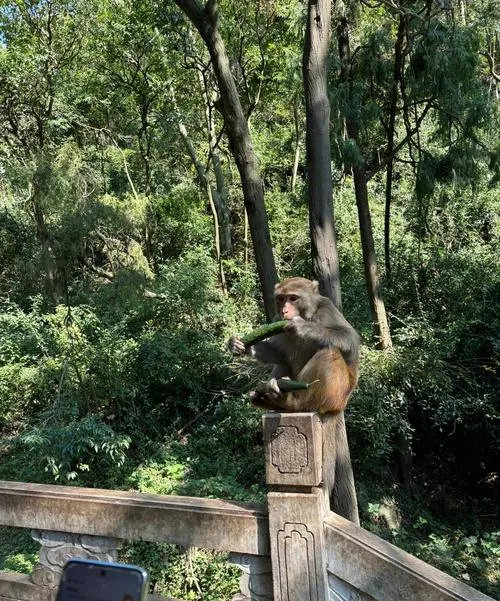 贵阳十大旅游景点,冬天适合带孩子去的地方,周边一日游好去处