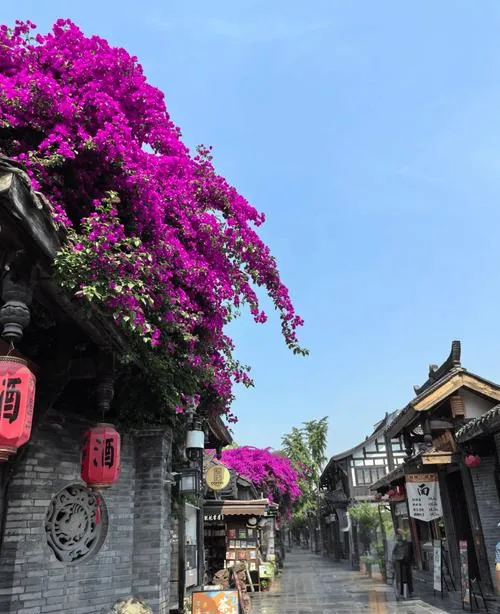 高铁直达!最适合10月带娃去的6个旅游城市,挑一个就出发吧!!