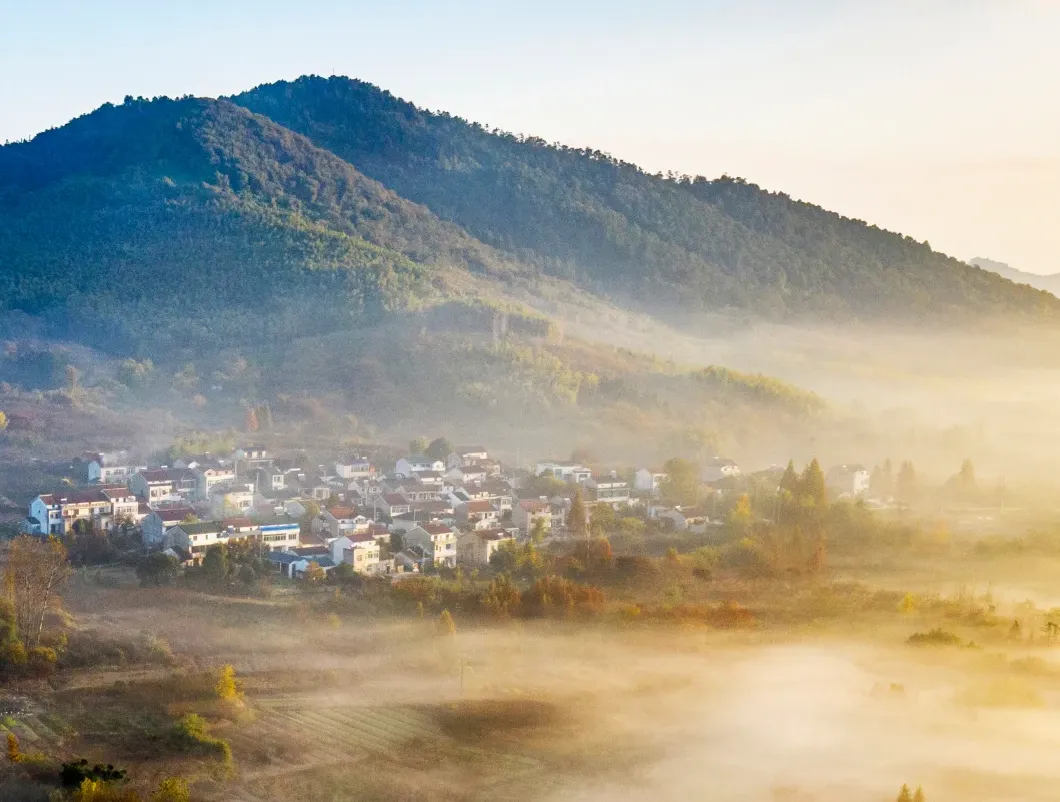 大批日本游客涌入江苏溧阳,打着旅游的幌子,不看天目湖不逛南山竹海,想干啥?