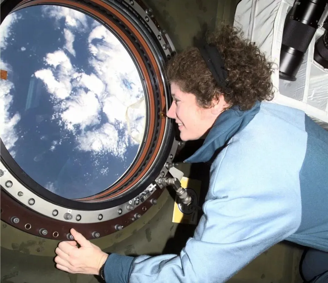 太空旅游,其实是中年成功学的终极奖励