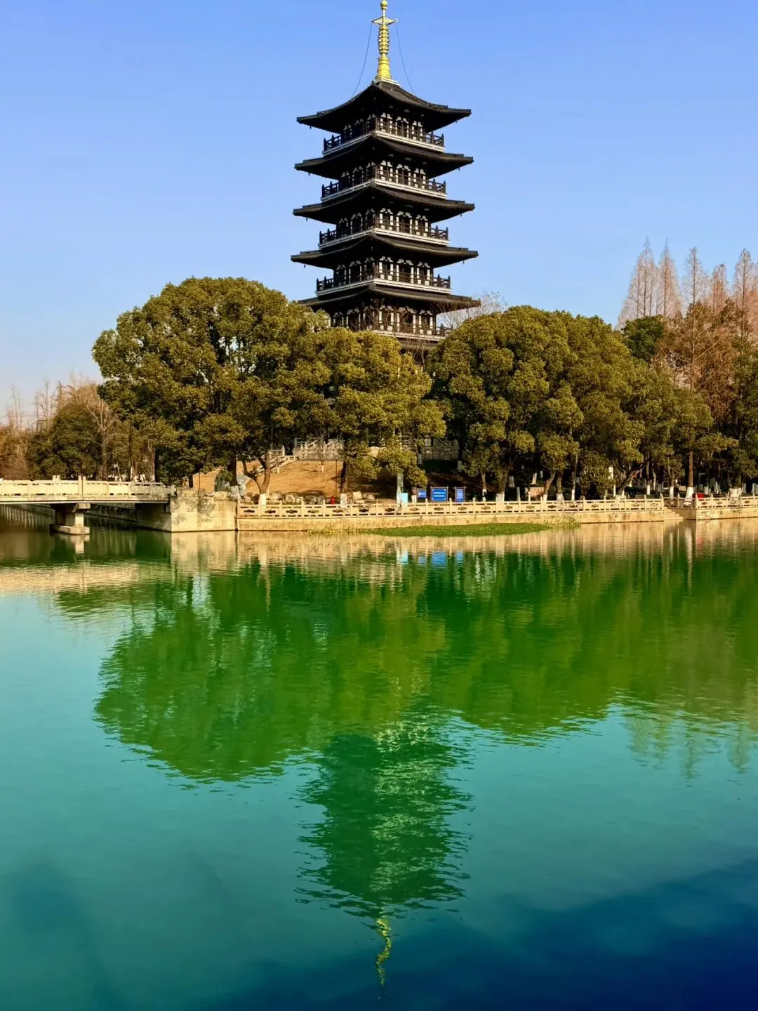 远离市区,苏州周边小众免费赏梅旅游打卡地