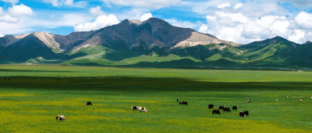 【关注】青海湖景区“蓝冰”成冬游“新宠”