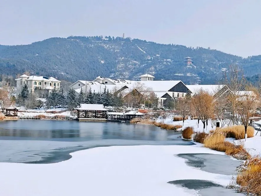 2026,晋城各大游玩景点,灯会马上开始,游子们,快回来过年吧!