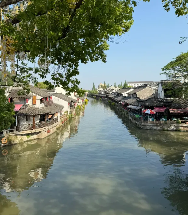 大量日本游客涌入上海金山,打着旅游的幌子,不逛枫泾古镇、不吃烧卖,为什么?