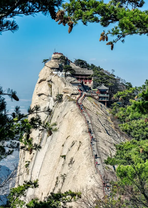 大量日本游客涌入陕西渭南,打着旅游的幌子,不逛华山、不吃水盆羊肉,为什么?