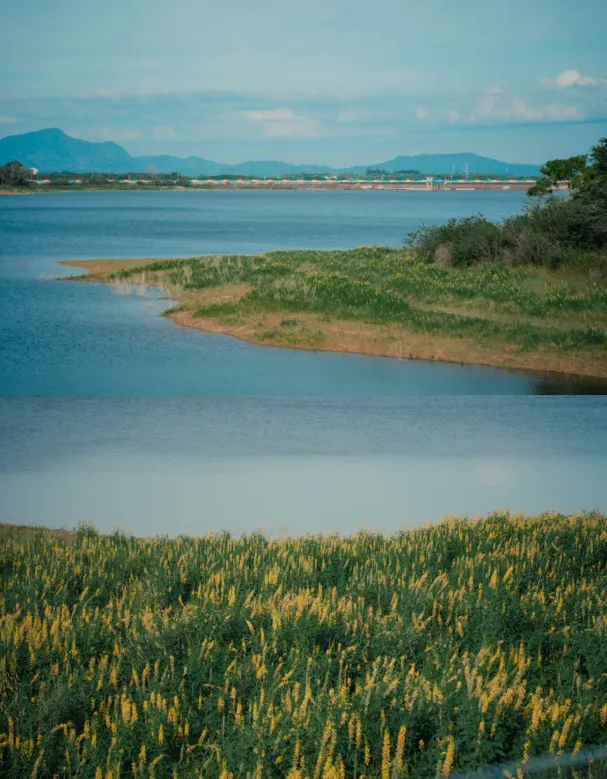 大量日本游客涌入海南屯昌,打着旅游的幌子,不逛木色湖、不吃香草鸭,为什么?