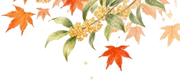 【文明旅游】年味儿满市集 文明润旅途