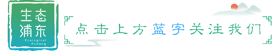 上海公布第一批“社区景点”,浦东4家入选