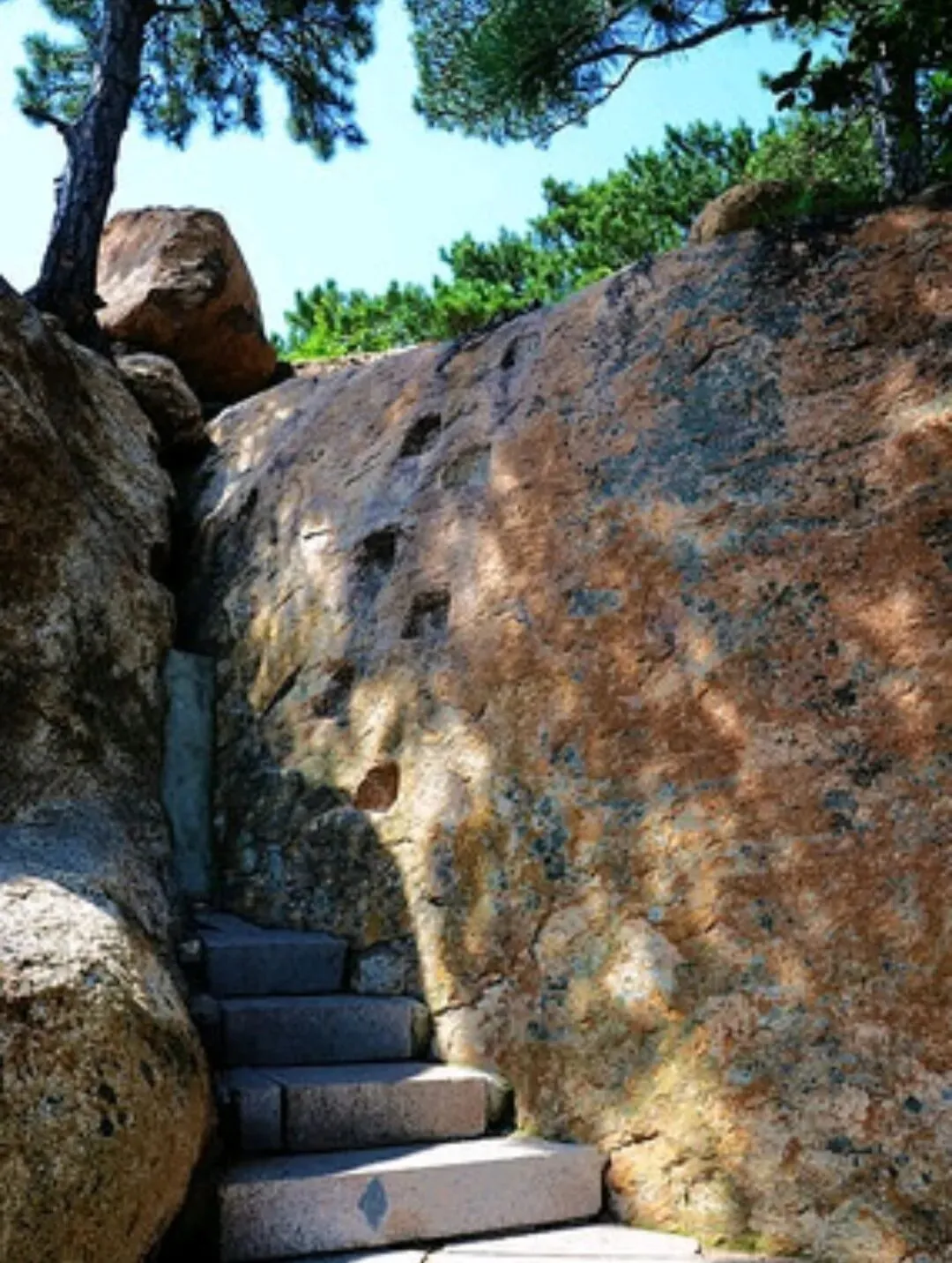 马年专属福利!姓马/属马速看,全国多地景区免票啦