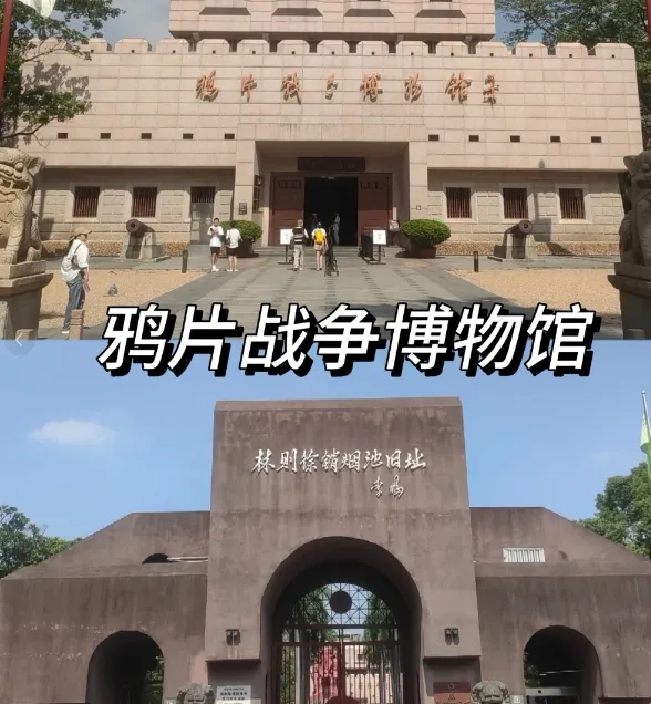 大量日本游客涌入虎门,打着旅游幌子不逛鸦片战争博物馆不吃烧鹅濑粉,原因成谜!