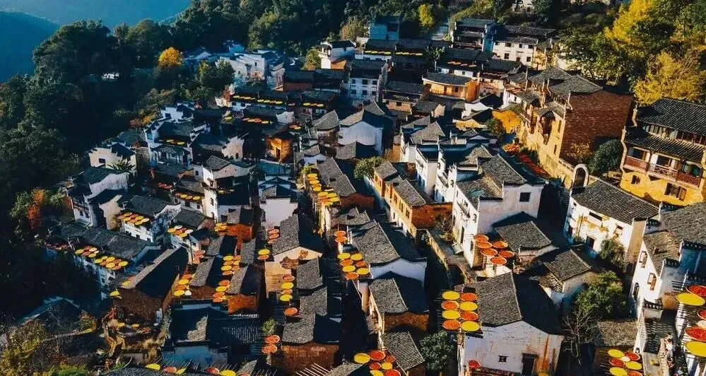 大批日本游客涌入江西婺源,打着旅游的幌子,不看江岭梯田不逛李坑古村,想干啥?