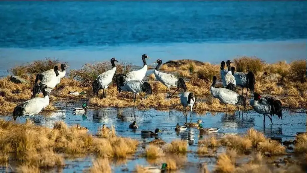 昭通2-3月旅游好去处冬天最美的10个景点周边自驾游一日游