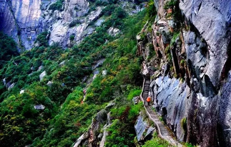 大量日本游客涌入绩溪,打着旅游幌子不逛龙川景区不吃臭鳜鱼,为什么