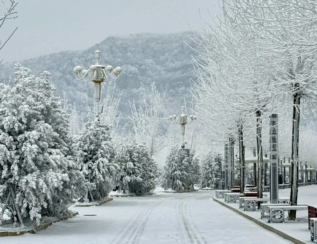 为什么旅游的时候很快乐?