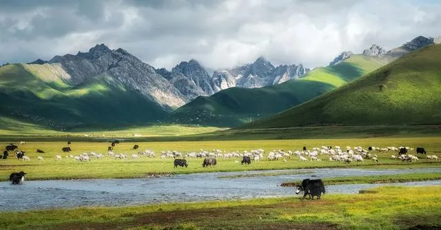 甘南旅游攻略:藏在世界屋脊边缘的“中国小西藏”,无高原反应