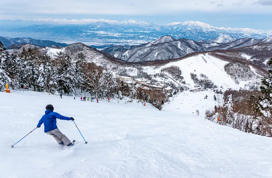 赴日旅游“雪地事故”频发,日本开始讨论“付费救援”,“趁火打劫”还是“不得已”?